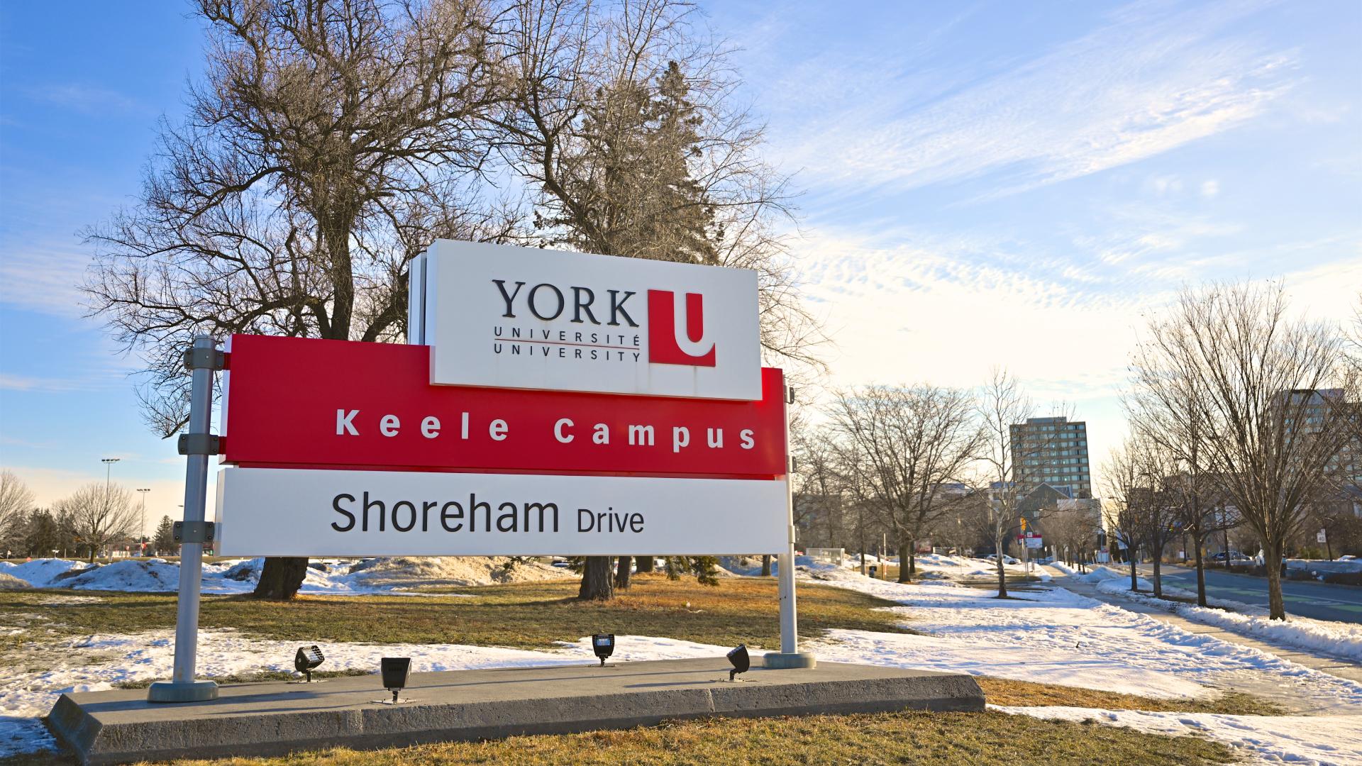 York University Case Study