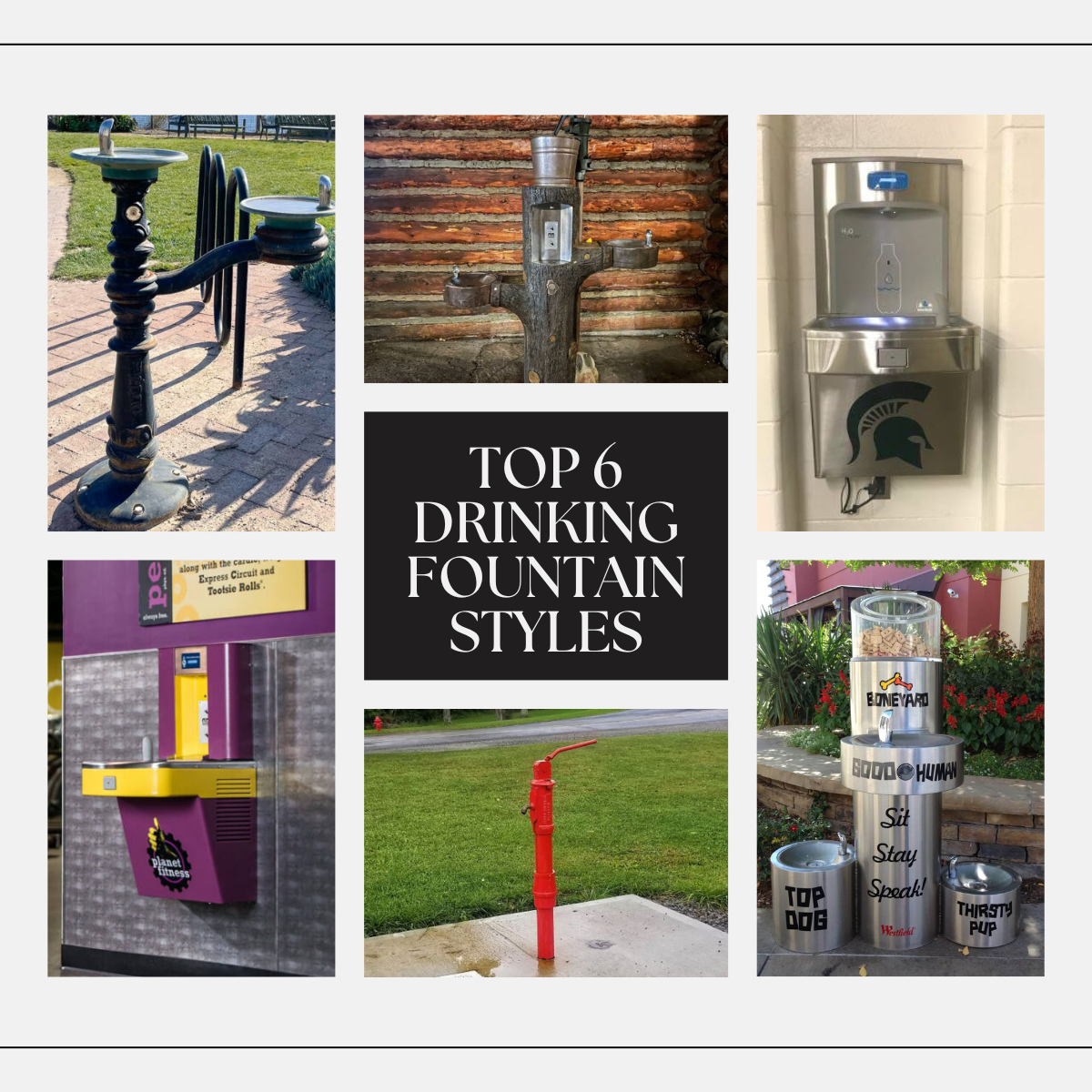 Top 6 Drinking Fountain Styles: From Classic to Quirky